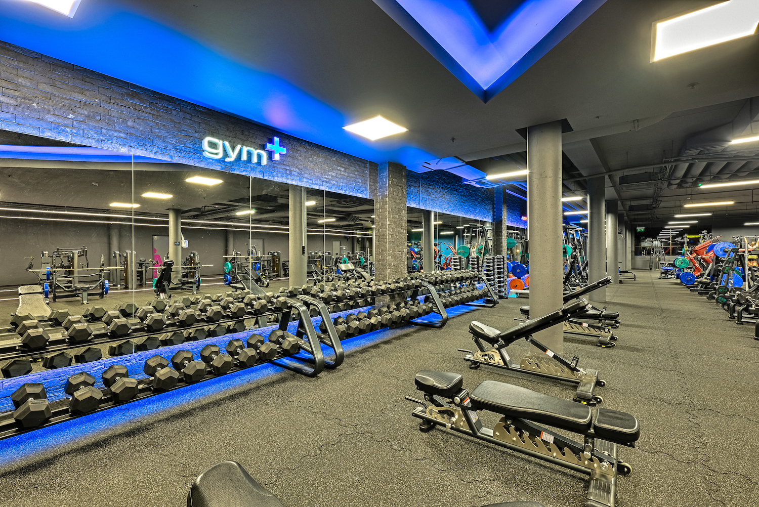 Gym + aukstos raiskos (17 of 23)