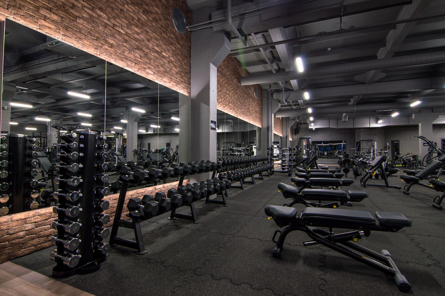 Gymplius sporto klubas 40